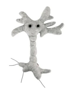 Brain Cell Plush